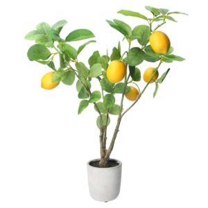 Gisela Graham - Faux Potted Lemon Tree Plant