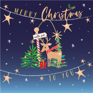Pack OF 5 Cards -Merry Christmas Reindeer
