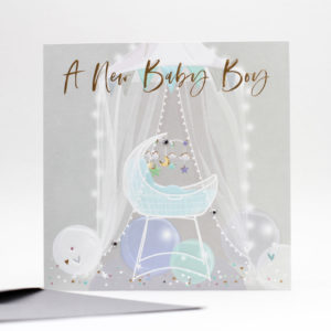 A New Baby boy - Crib