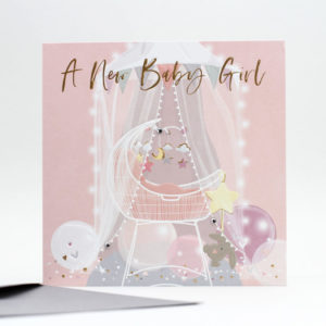 A New Baby Girl Crib